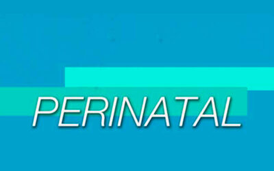 Revista de la Subcomisión de Ps. Perinatal
